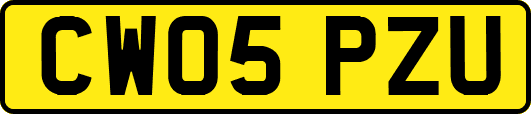 CW05PZU