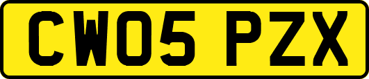 CW05PZX