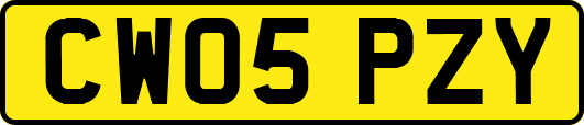 CW05PZY