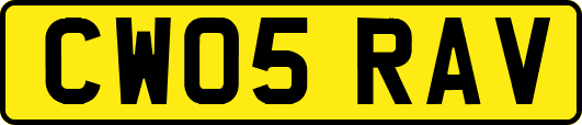 CW05RAV