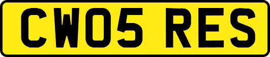 CW05RES