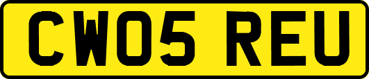 CW05REU