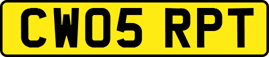 CW05RPT