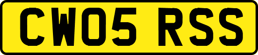CW05RSS