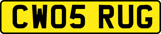 CW05RUG