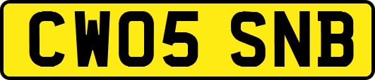CW05SNB