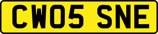 CW05SNE