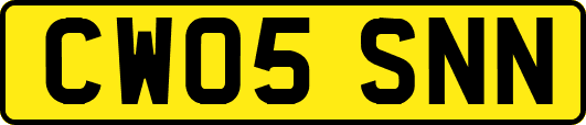 CW05SNN