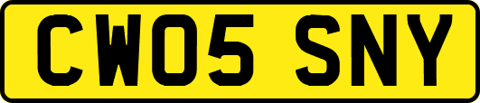 CW05SNY