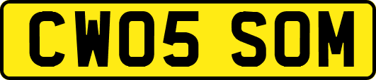 CW05SOM