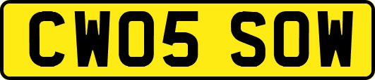CW05SOW