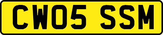 CW05SSM