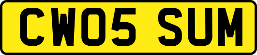 CW05SUM