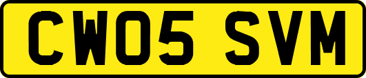 CW05SVM