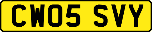 CW05SVY