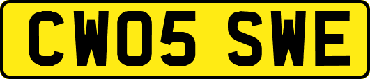 CW05SWE