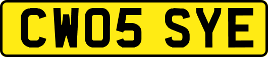 CW05SYE