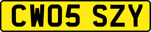 CW05SZY
