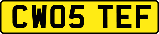 CW05TEF