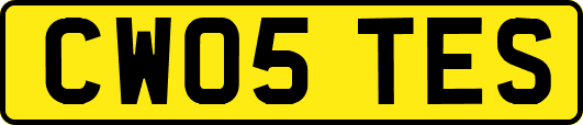 CW05TES