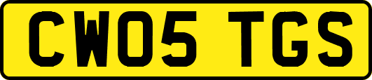 CW05TGS