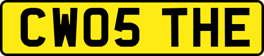 CW05THE