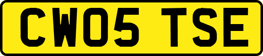 CW05TSE