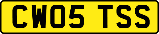 CW05TSS