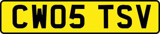 CW05TSV