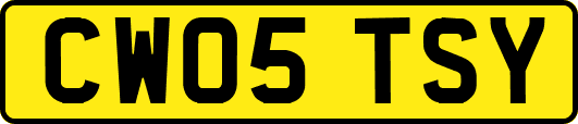 CW05TSY