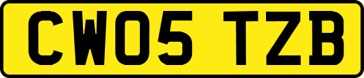 CW05TZB