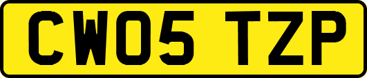 CW05TZP