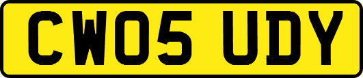 CW05UDY