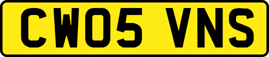CW05VNS