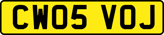 CW05VOJ