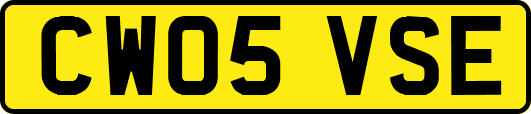 CW05VSE