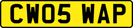 CW05WAP