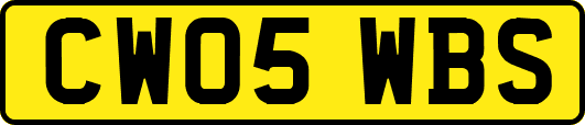 CW05WBS