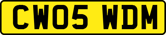 CW05WDM
