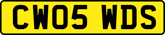 CW05WDS