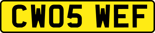 CW05WEF