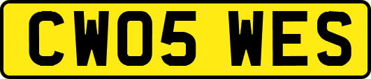 CW05WES