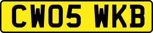 CW05WKB