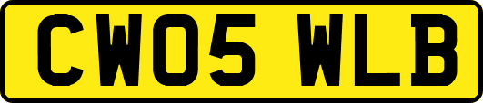 CW05WLB
