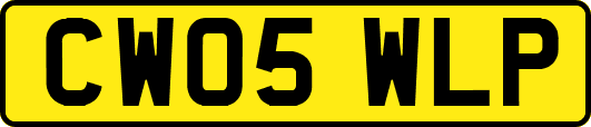 CW05WLP