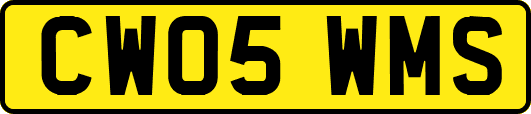 CW05WMS