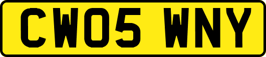 CW05WNY