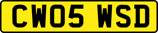 CW05WSD