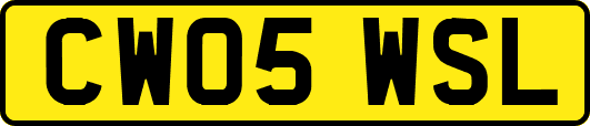 CW05WSL