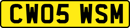 CW05WSM